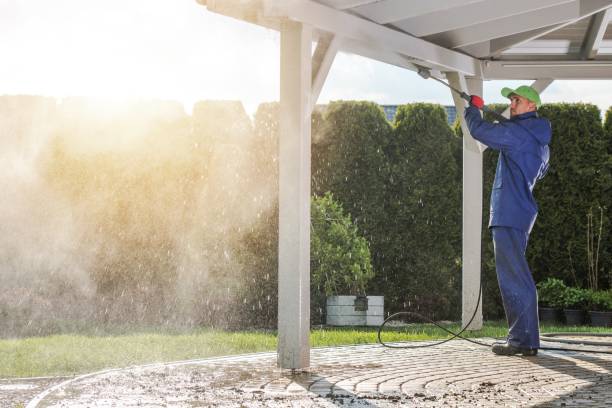 Best Animal Enclosure Cleaning  in Sa De Oro Mount Helix, CA